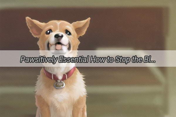 Pawsitively Essential How to Stop the Bleed When Your Furry Friend Gets Pressed